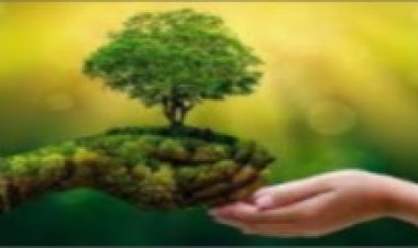 जैनशिल्प समाचार अखबार का अभियान समग्र विश्व में पर्यावरण बचाओ का