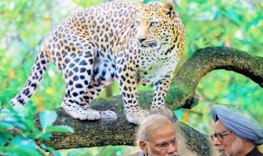 इस प्रोजेक्ट पर मनमोहन सिंह सरकार ने लगाई थी मुहर, कांग्रेस ने किया ट्विट