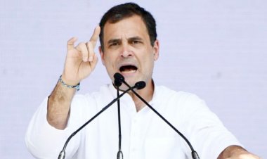 8 चीते तो आए, 8 वर्षों में 16 करोड़ रोज़गार क्यों नहीं आए? ः राहुल गांधी