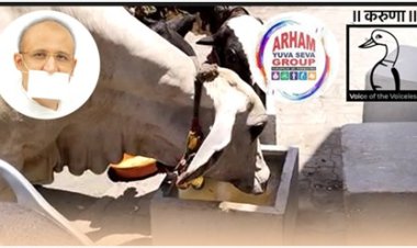 શ્રી કરૂણા ફાઉન્ડેશન ટ્રસ્ટ, એનીમલ હેલ્પલાઇન દ્વારા પક્ષીઓનાં માળા—પીવાનાં પાણીની કુંડી,  'રામપાતર' અને ગાયોની પાણી પીવાની કુંડી બારે મહિના નિઃશુલ્ક વિતરણ